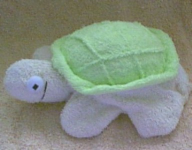 turtlemitt.jpg